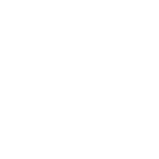 nettspring.com-logo